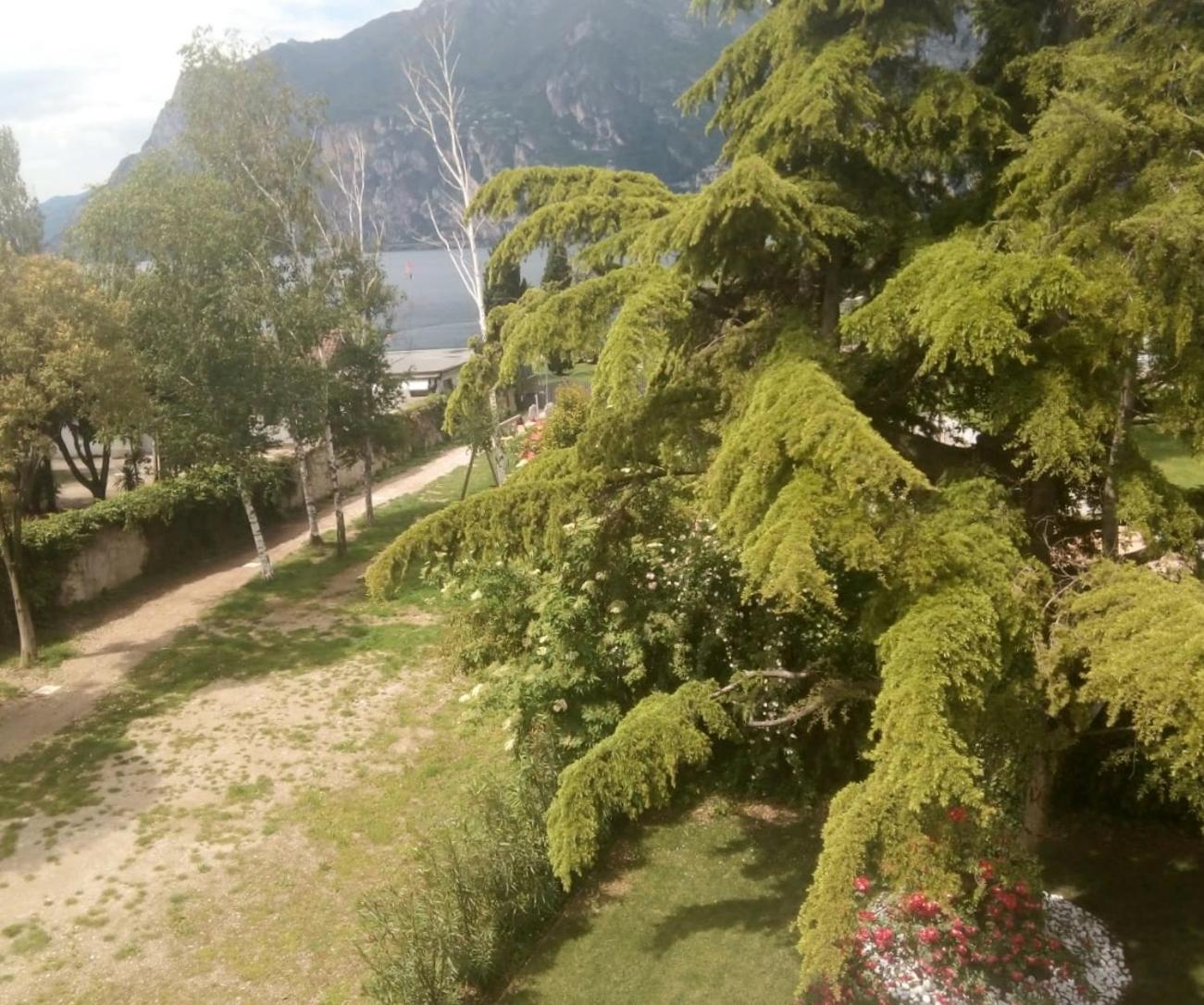 Villa Torbole Torbole Sul Garda Ngoại thất bức ảnh